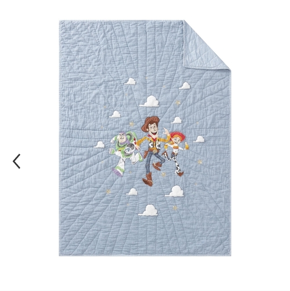 Pottery Barn bedding - Picture 7 of 10